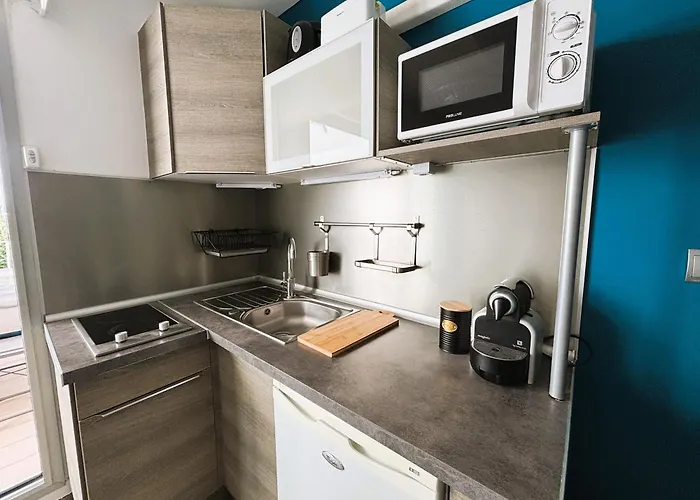 Le Cormoran Vue Port De Plaisance *